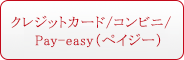 クレジットカードやコンビニ・ペイジーによる決済
